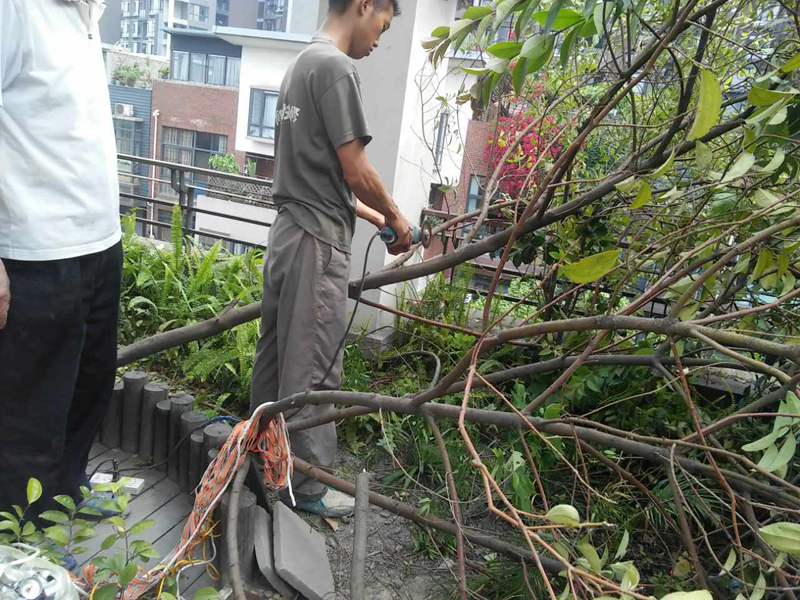 屋頂花園怎么裝修，樓頂花園裝修注意事