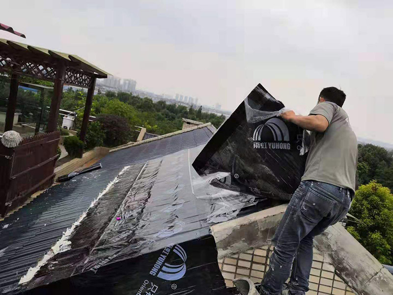 農村平房屋頂漏雨維修，用哪種方法較為